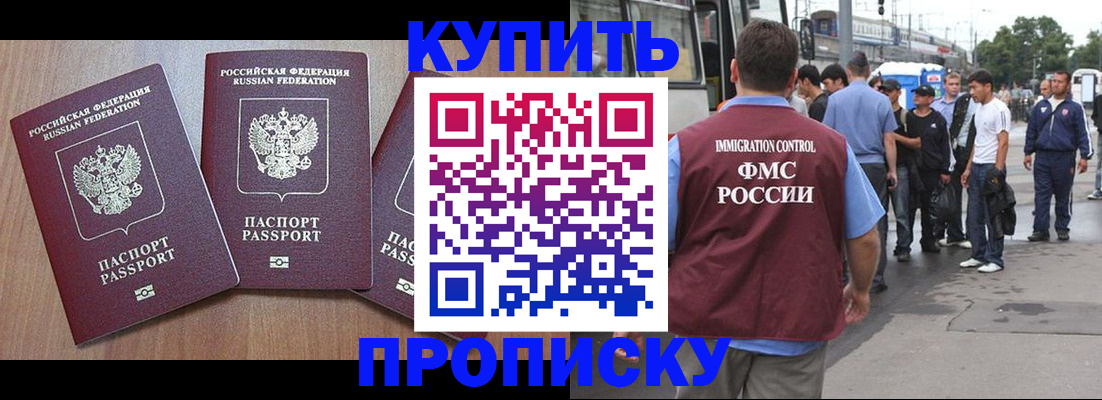 прописка 2025 в Алейске